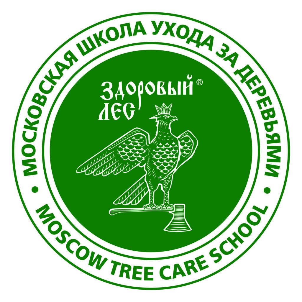 ЗДОРОВЫЙ ЛЕС logo