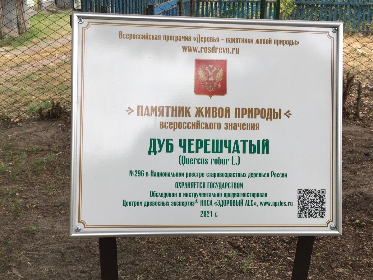 13.08.2021